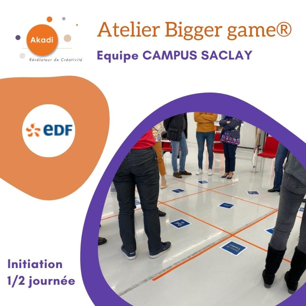 ateliers-akadi-bigger-game-edf - AKADI - Cabinet de Conseil & Coaching