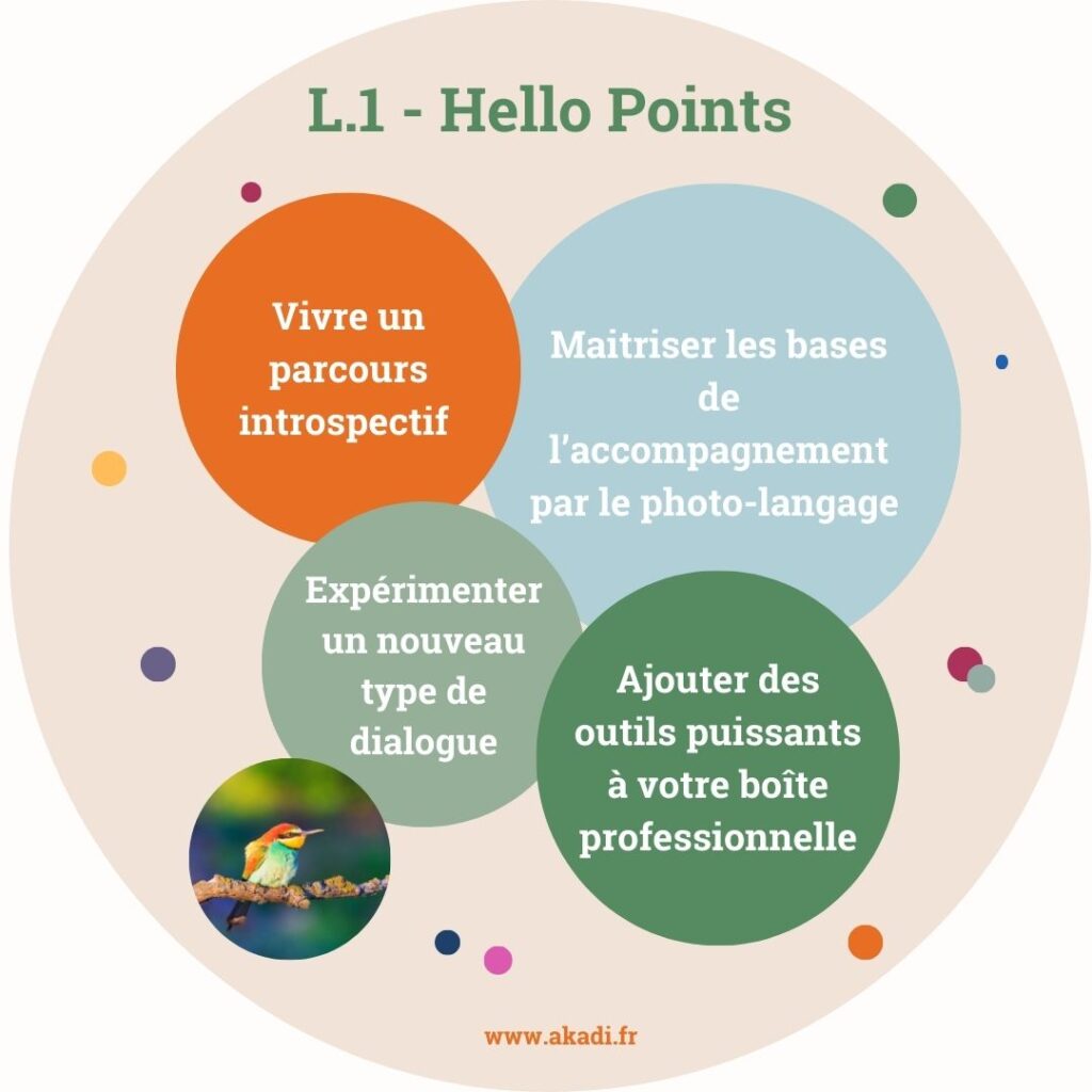 L1-HelloPointsbyAKADI-Programme